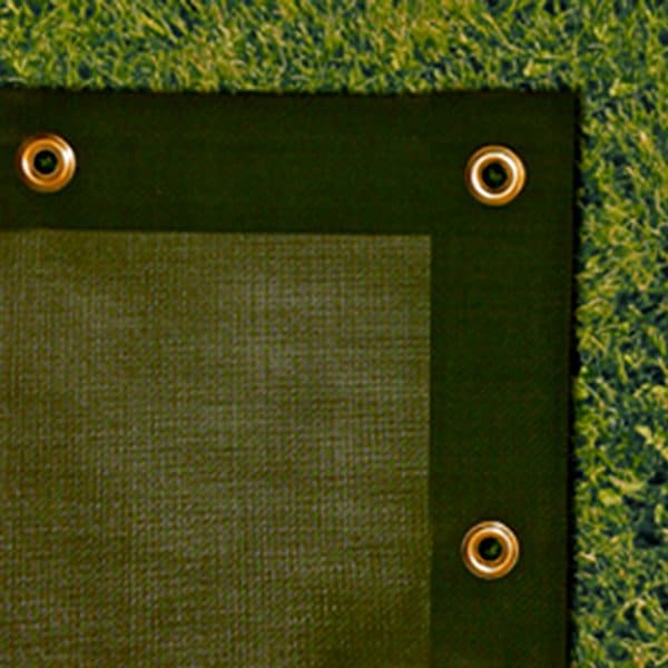 Custom Windscreen Buyer’s Guide