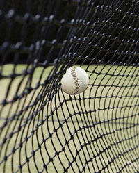 How to Choose the Right Netting for Home Use