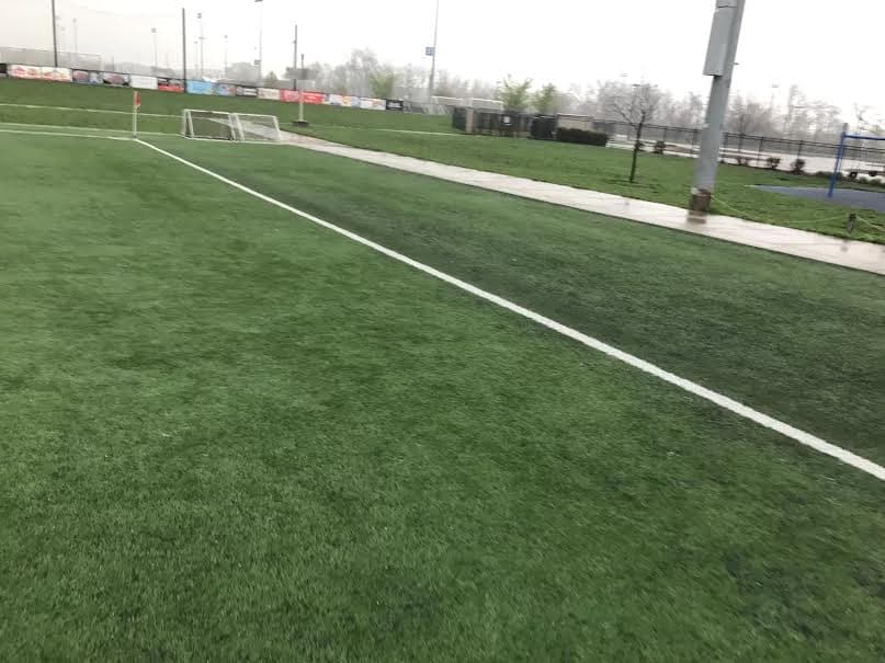 Used Turf for Sale - Full Fields | Purchasing and Maintaining