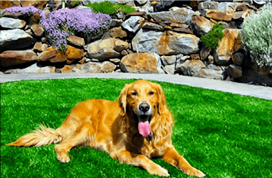Best Infill for Pet Turf -- Clean, Safe, & Reusable Infill